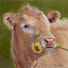 55gv0lDyD8Y-channel-avatar-Painting Plein Air in Pastels with Terri Meyer