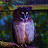 @WanderingRoutes1980 Avatar