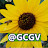 GCGV 'Gulf Coast Garden Variety'