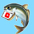 dHBKgH-J6Wg-channel-avatar-FISH THE SMILE  フィッシュ ザ スマイル
