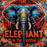 XKErBhiNoxE-channel-avatar-The Elephant in The Room Podcast 