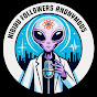 Nibiru Followers Anonymous logo