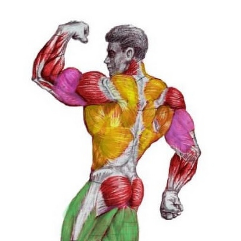 FIT EXERCISES