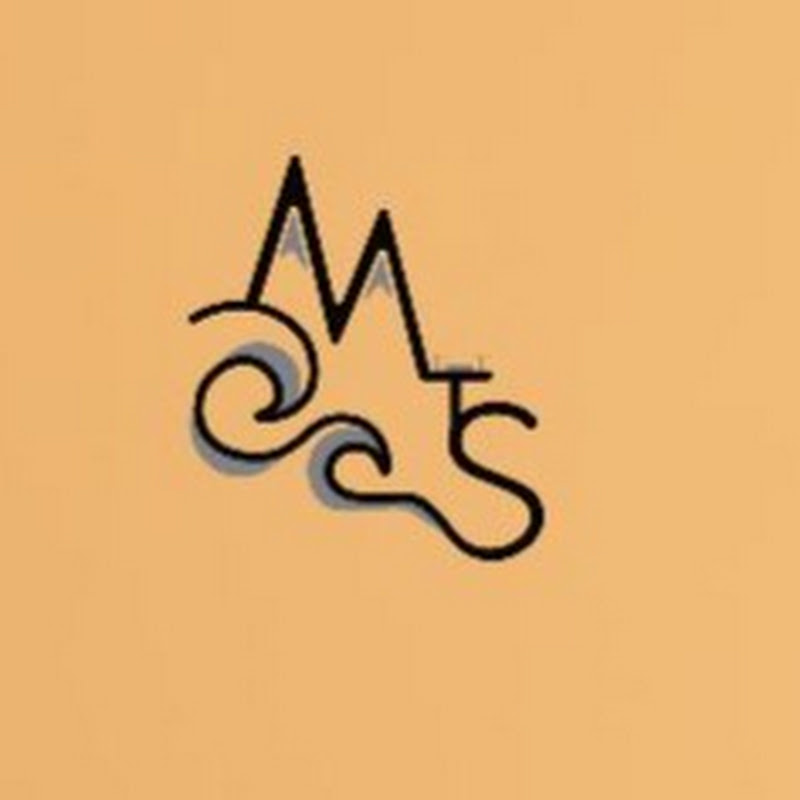 MTS Drones
