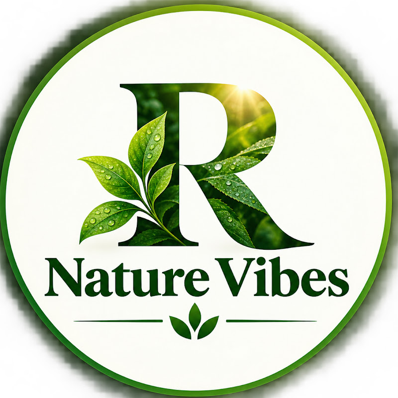 𝐑- NatureVibes