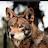 @WolfDaddy81 Avatar