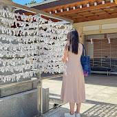 Sakura – living in Japan