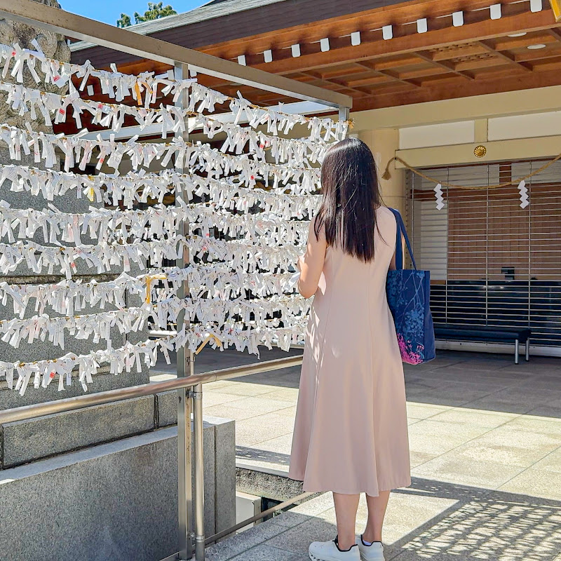 Sakura – living in Japan