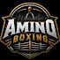 x_5bDp22mQg-channel-avatar-AminoBoxing
