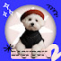 vIsfRyBZqDc-channel-avatar-찐백억