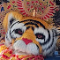n955wVT5bnM-channel-avatar-Jaiz
