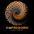 @capricornfilmstudios