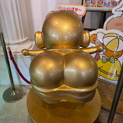애완모기2