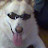 @SirsinF's avatar