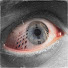 XWGIWPSGx54-channel-avatar-Secara Stefan (Steve)