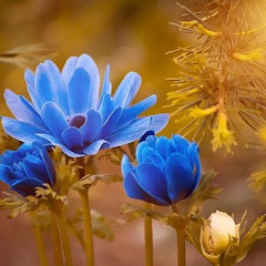 感動アルバム#020