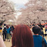 L8O5zIpVMO0-channel-avatar-Sui | Life in Japan