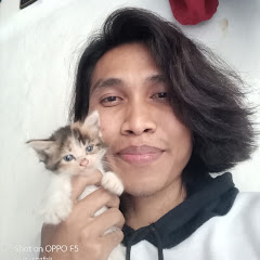 Eto Cat
