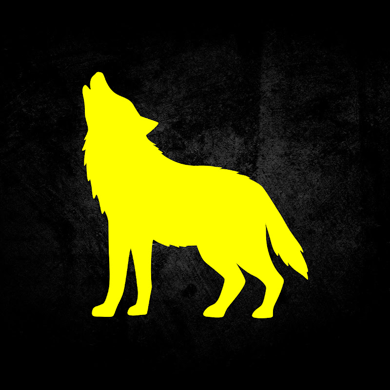 LoneWolf Insights Logo