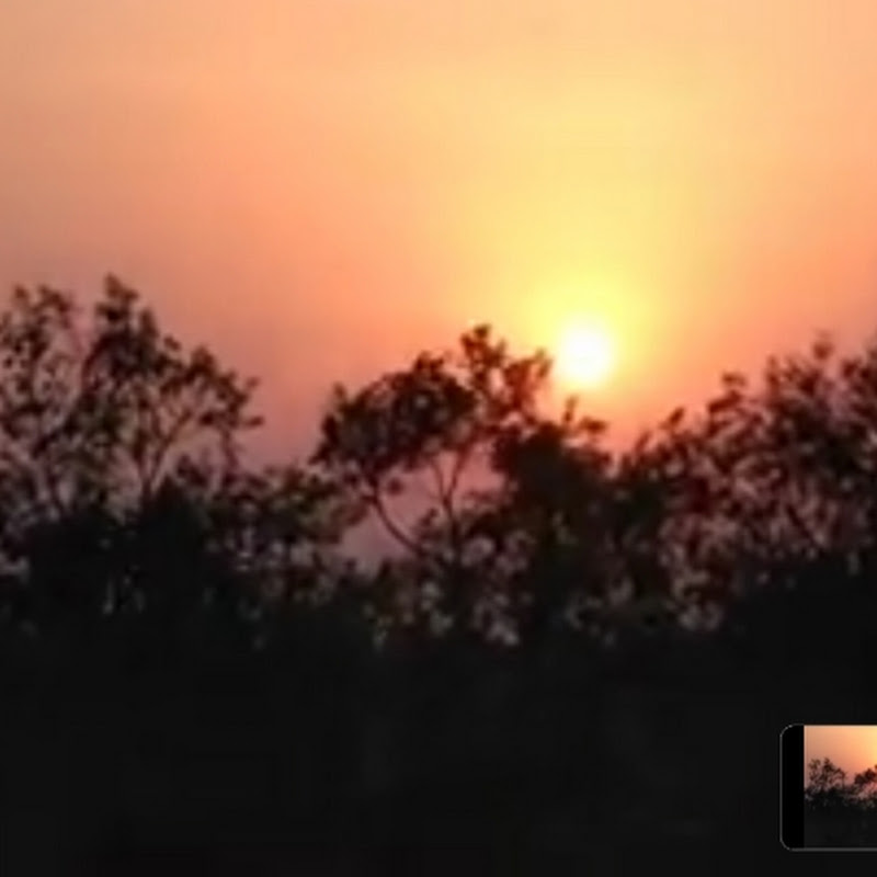 Natural Beauties View