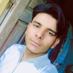 Ameermoavia