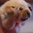 @EnTJ_1st