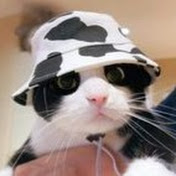 ViralKitty