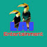 pf2q6-Rfj9U-channel-avatar-Lai Entertainment