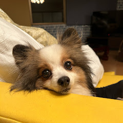 lux mimi
