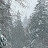 @Snow-d1d