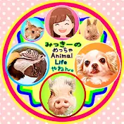 みっきーのめっちゃAnimal Lifeやねん。