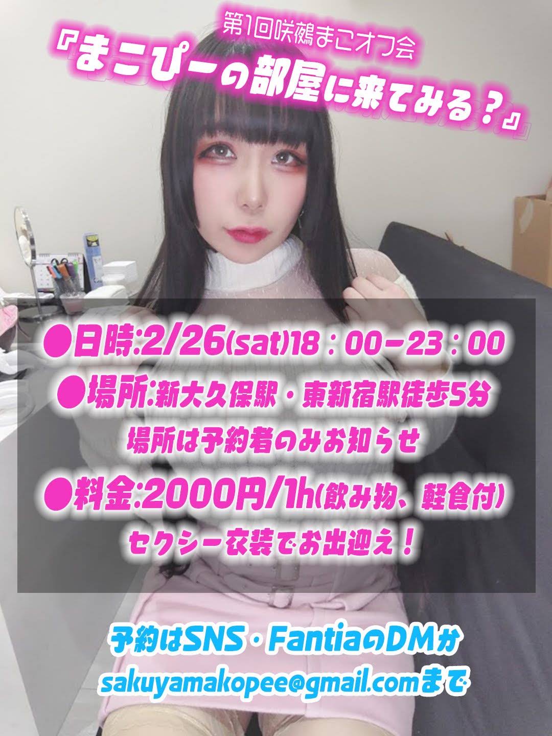 活動歴および当時の関連ビジュアル記録