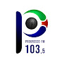 Progresso 103 FM