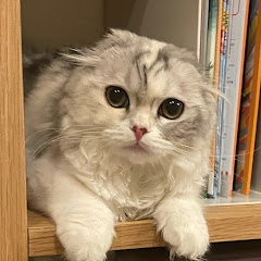 りるらチャンネル