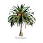 Riviera Palms