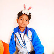 Hire Mayank Ram Lion King 👑  — Pets & Animals YouTube creator for sponsorships