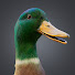 n-xucFnccQE-channel-avatar-Digital Duck