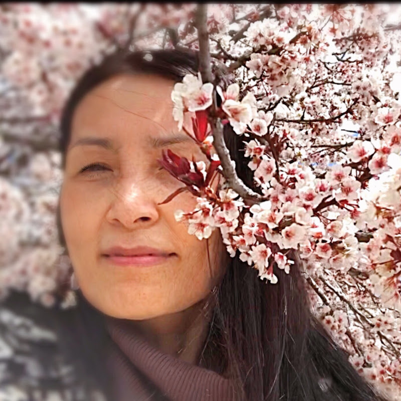 Cecilia Vlog - Cuoc song My