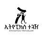 Reta Travels 🇪🇹 logo