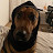 @mariusmars8479 Avatar