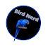 D4F1_kj4W7s-channel-avatar-birdnerd