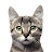@ProMan-pro's avatar