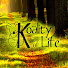 OWW3hMuLw50-channel-avatar-Koality of Life