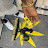 @Lost_files1047 Avatar