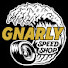 hn42Z_JGVrE-channel-avatar-GNARLY SPEED SHOP