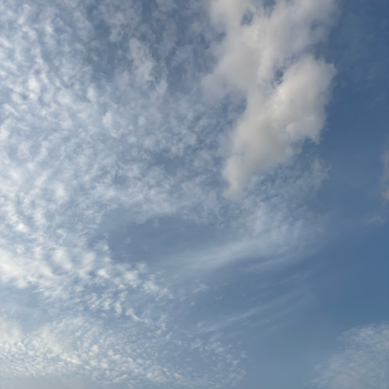 Hire Spark stories — Philosophy & Critical Thinking YouTube creator for sponsorships