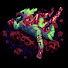 MP6WLMrvKrc-channel-avatar-Iitayi