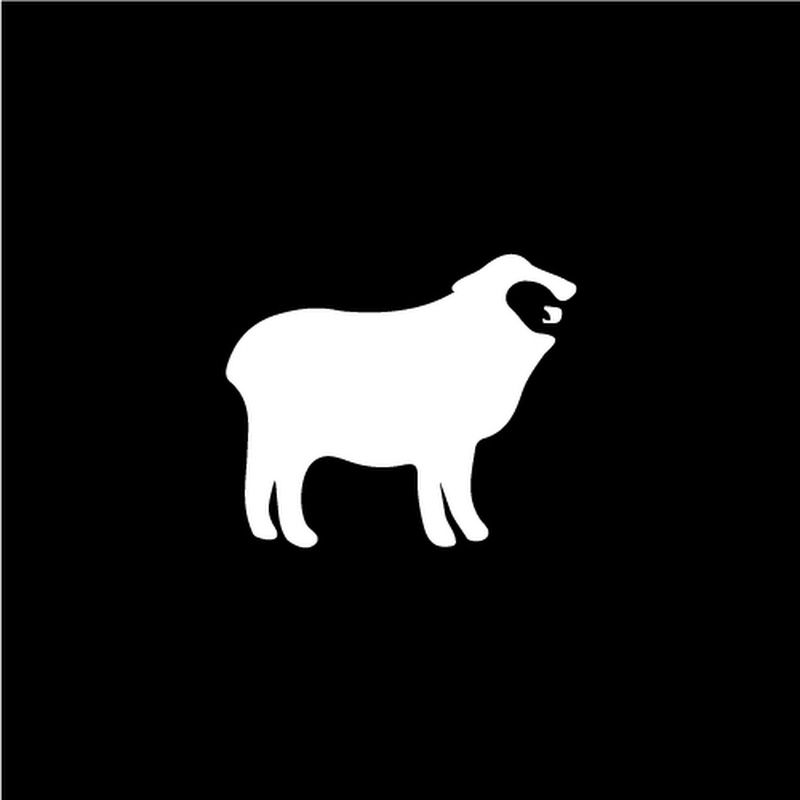 Motion Ram