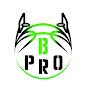 B-PRO logo