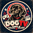 -r2gLJJQXIY-channel-avatar-DOG TV CHILE